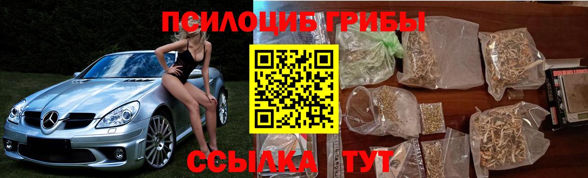 Псилоцибиновые грибы прущие грибы Жуковский